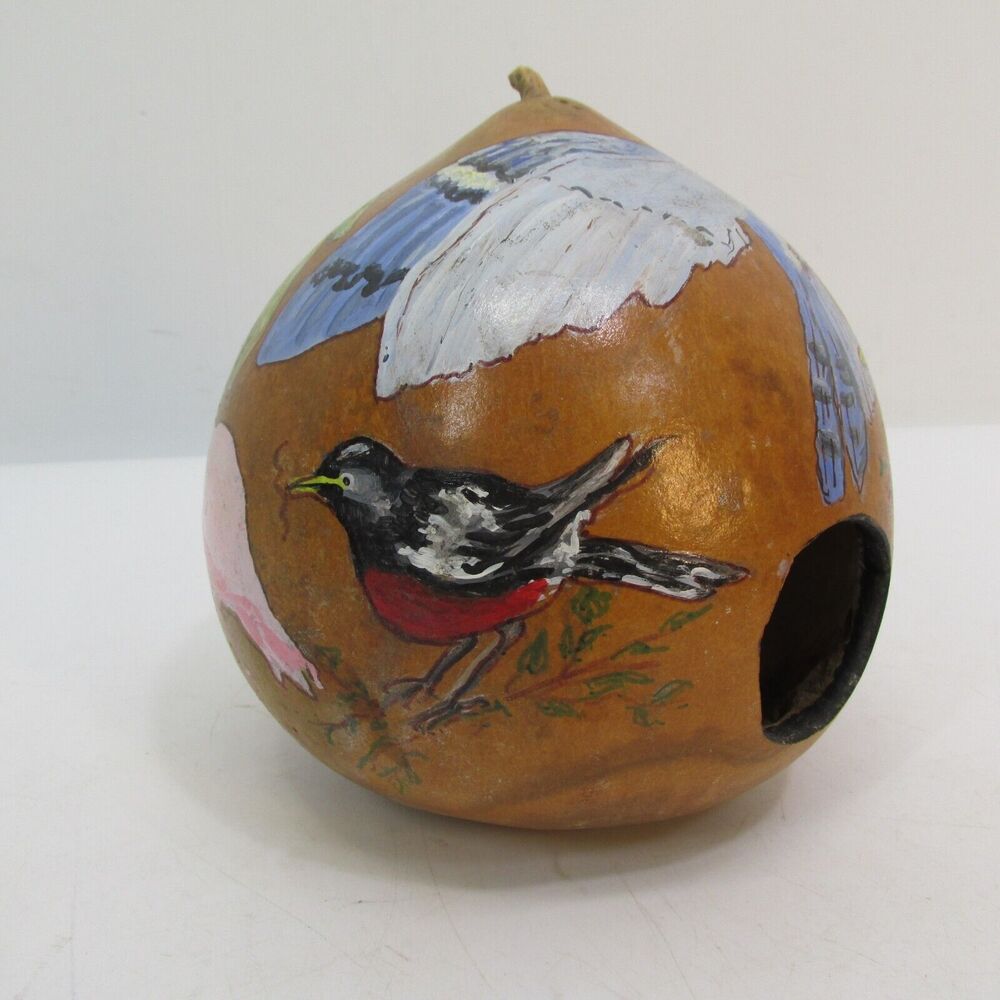 Hand Painted by Chyrrel Gourd Bird House 7" Floral Flowers Birdhouse SIGNED